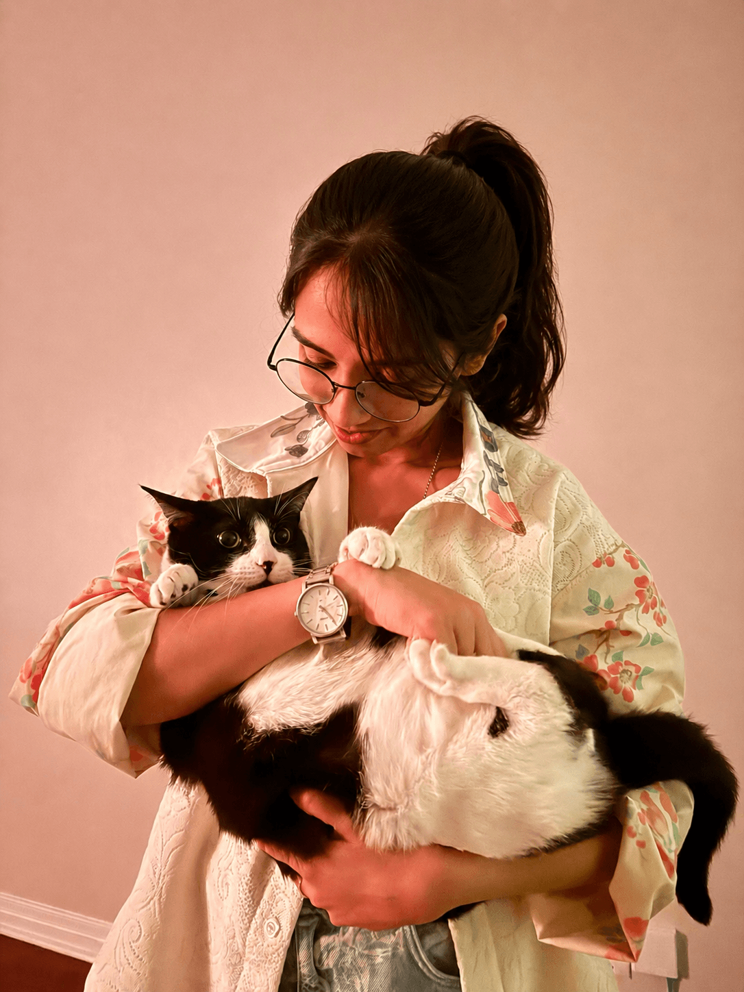 Libro the cat